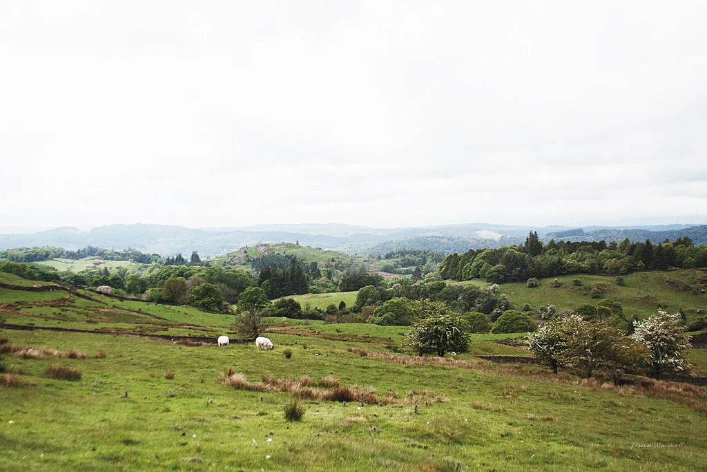 Lake District I by Laura Marshall. SKU 63271i. Archival Giclee Fine art print for wall decor.