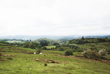 Lake District I by Laura Marshall. SKU 63271i. Archival Giclee Fine art print for wall decor.