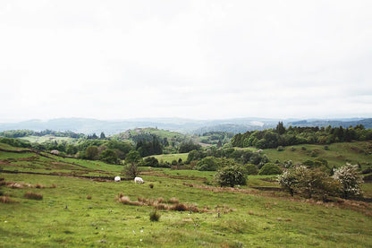 Lake District I by Laura Marshall. SKU 63271i. Archival Giclee Fine art print for wall decor.