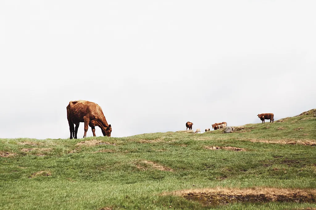 Lake District II by Laura Marshall. SKU 63272i. Archival Giclee Fine art print for wall decor.