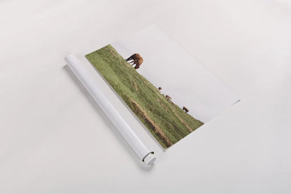 Lake District II by Laura Marshall. shown as a rolled paper print. Available as archival giclee rolled canvas, fine art paper, or poster print. SKU 63272i.