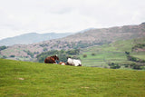 Lake District III by Laura Marshall. SKU 63273i. Archival Giclee Fine art print for wall decor.