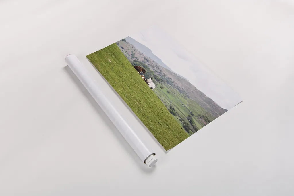 Lake District III by Laura Marshall. shown as a rolled paper print. Available as archival giclee rolled canvas, fine art paper, or poster print. SKU 63273i.