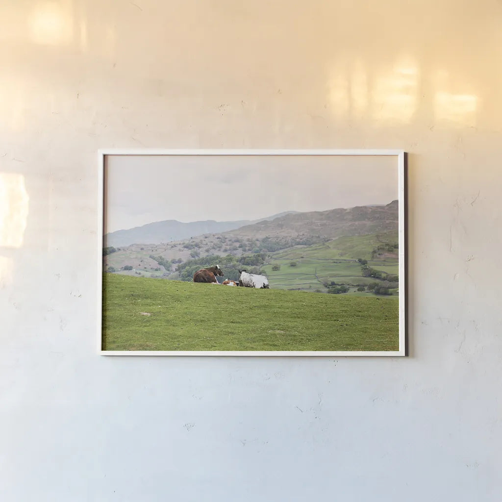 Lake District III by Laura Marshall. shown as a paper print in a white frame. Available as a archival giclee rolled canvas, fine art paper, or poster print. SKU 63273i.
