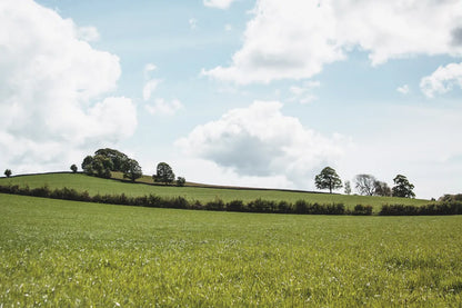 Lake District IV by Laura Marshall. SKU 63274i. Archival Giclee Fine art print for wall decor.