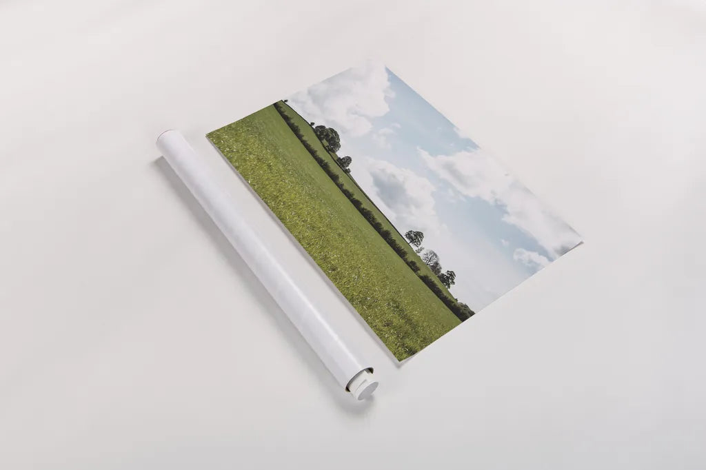 Lake District IV by Laura Marshall. shown as a rolled paper print. Available as archival giclee rolled canvas, fine art paper, or poster print. SKU 63274i.