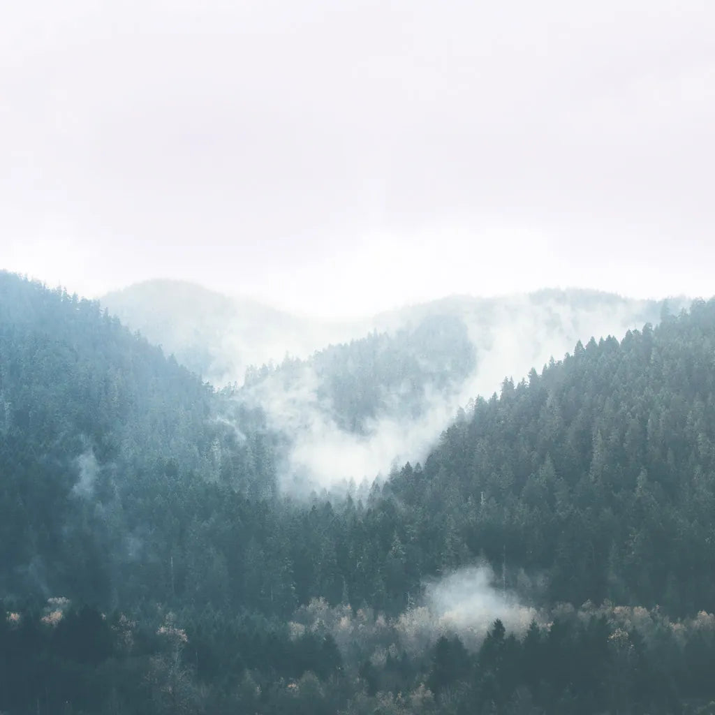 Landscape I Blue by Laura Marshall. SKU 56285a. Archival Giclee Fine art print for wall decor.