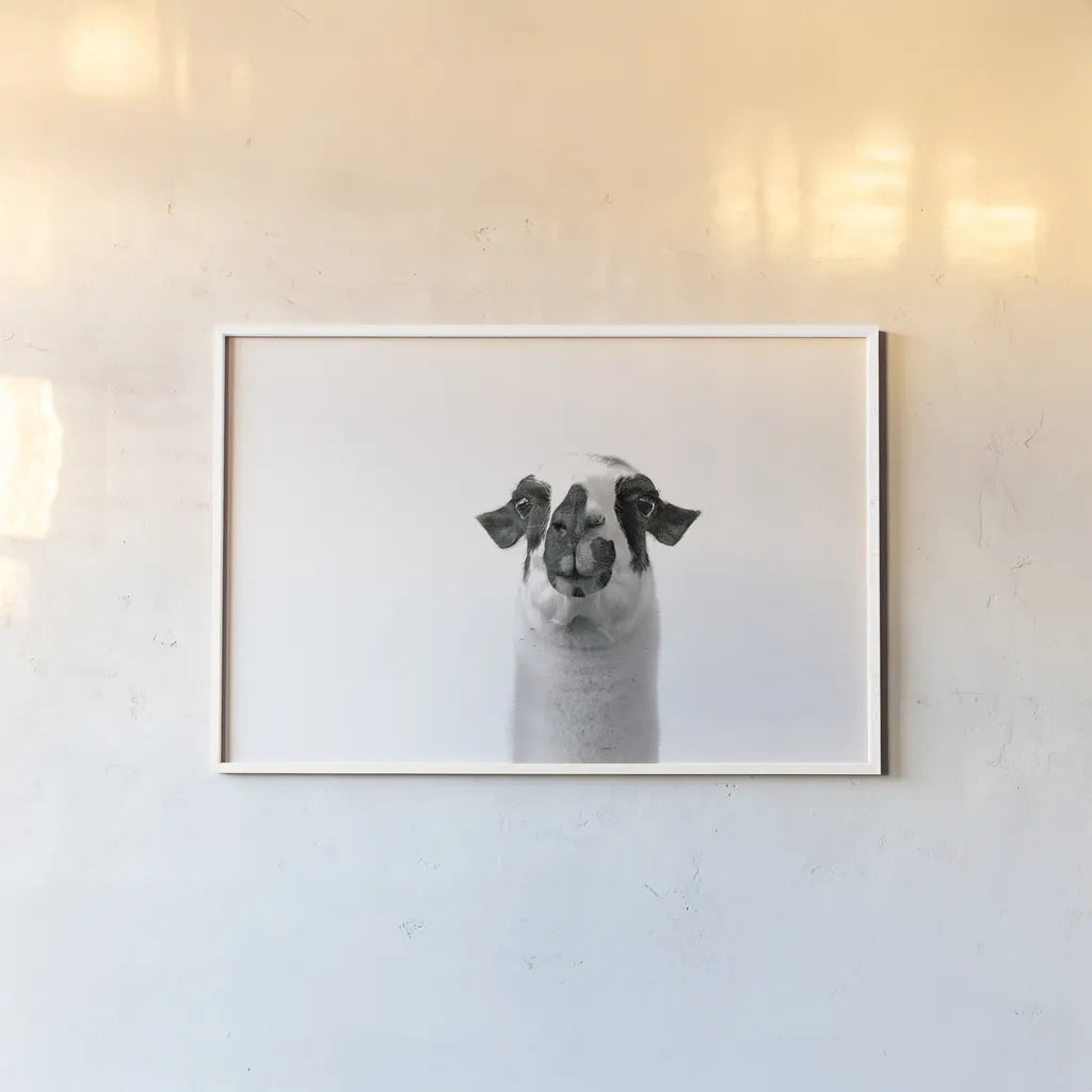 Lovable Llama II by Laura Marshall. shown as a paper print in a white frame. Available as a archival giclee rolled canvas, fine art paper, or poster print. SKU 28489i.