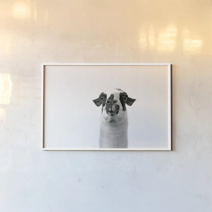 Lovable Llama II by Laura Marshall. shown as a paper print in a white frame. Available as a archival giclee rolled canvas, fine art paper, or poster print. SKU 28489i.