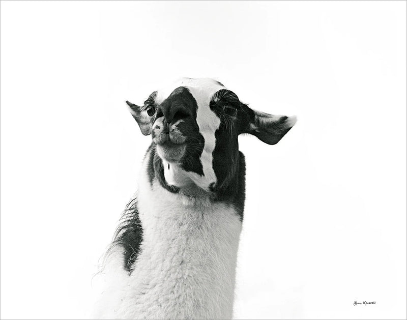 Loveable Llama I by Laura Marshall