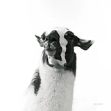 Loveable Llama I Crop by Laura Marshall. SKU 28488a. Archival Giclee Fine art print for wall decor.