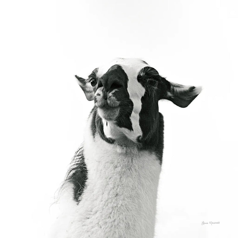 Loveable Llama I Crop by Laura Marshall. SKU 28488a. Archival Giclee Fine art print for wall decor.