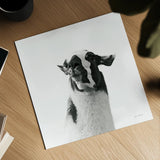 Loveable Llama I Crop by Laura Marshall. Shown as a detailed flat fine art print, highlighting archival giclee quality. Available as an archival giclee rolled canvas, fine art paper, or poster print. SKU 28488a.