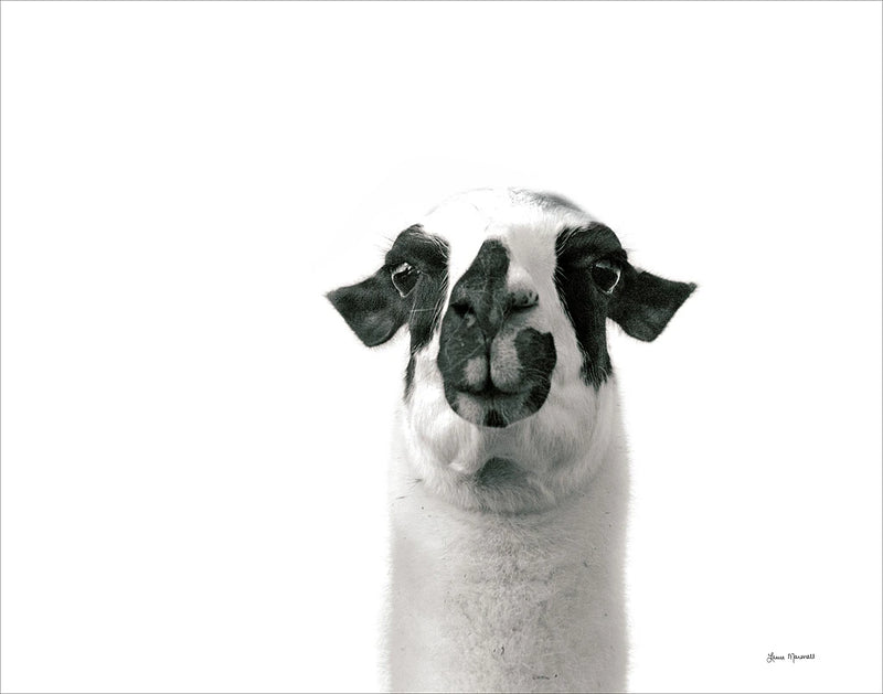 Loveable Llama II by Laura Marshall