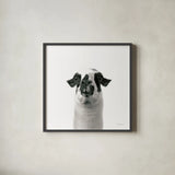 Loveable Llama II Crop by Laura Marshall. Shown in a sleek black glass frame for a contemporary gallery look. Available as an archival giclee rolled canvas, fine art paper, or poster print. SKU 28489a.