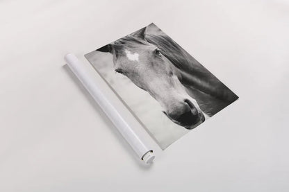 Moke Lake Horses I by Laura Marshall. shown as a rolled paper print. Available as archival giclee rolled canvas, fine art paper, or poster print. SKU 84129h.