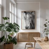 Moke Lake Horses I by Laura Marshall. shown as a print in a natural wood frame in a dining room. Available as a archival giclee rolled canvas, fine art paper, or poster print. SKU 84129h.