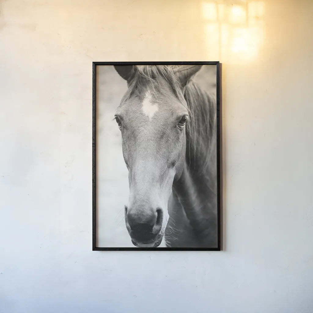 Moke Lake Horses I by Laura Marshall. shown as a paper print in a black flame. Available as a archival giclee rolled canvas, fine art paper, or poster print. SKU 84129h.
