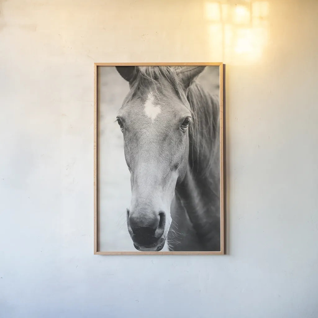 Moke Lake Horses I by Laura Marshall. shown as a paper print in a natural frame. Available as a archival giclee rolled canvas, fine art paper, or poster print. SKU 84129h.