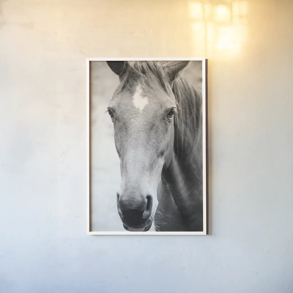 Moke Lake Horses I by Laura Marshall. shown as a paper print in a white frame. Available as a archival giclee rolled canvas, fine art paper, or poster print. SKU 84129h.