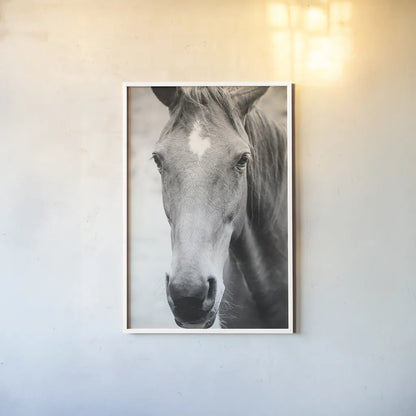 Moke Lake Horses I by Laura Marshall. shown as a paper print in a white frame. Available as a archival giclee rolled canvas, fine art paper, or poster print. SKU 84129h.