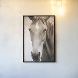Moke Lake Horses I Sepia by Laura Marshall. shown as a paper print in a black flame. Available as a archival giclee rolled canvas, fine art paper, or poster print. SKU 84983h.