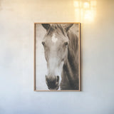 Moke Lake Horses I Sepia by Laura Marshall. shown as a paper print in a natural frame. Available as a archival giclee rolled canvas, fine art paper, or poster print. SKU 84983h.