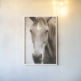 Moke Lake Horses I Sepia by Laura Marshall. shown as a paper print in a white frame. Available as a archival giclee rolled canvas, fine art paper, or poster print. SKU 84983h.