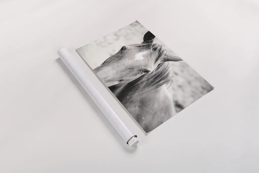 Moke Lake Horses II by Laura Marshall. shown as a rolled paper print. Available as archival giclee rolled canvas, fine art paper, or poster print. SKU 84130i.