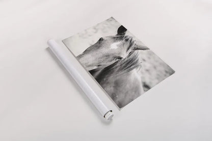 Moke Lake Horses II by Laura Marshall. shown as a rolled paper print. Available as archival giclee rolled canvas, fine art paper, or poster print. SKU 84130i.