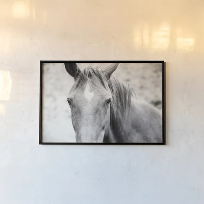Moke Lake Horses II by Laura Marshall. shown as a paper print in a black flame. Available as a archival giclee rolled canvas, fine art paper, or poster print. SKU 84130i.