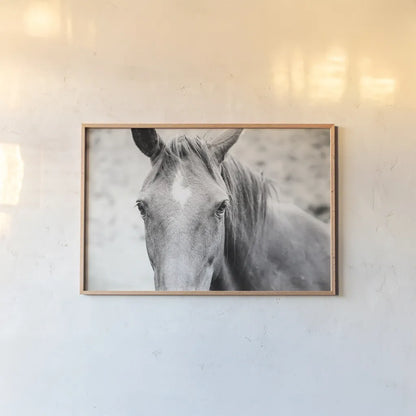 Moke Lake Horses II by Laura Marshall. shown as a paper print in a natural frame. Available as a archival giclee rolled canvas, fine art paper, or poster print. SKU 84130i.