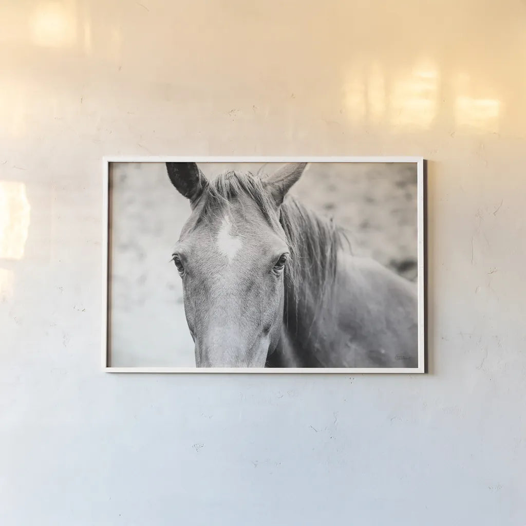 Moke Lake Horses II by Laura Marshall. shown as a paper print in a white frame. Available as a archival giclee rolled canvas, fine art paper, or poster print. SKU 84130i.