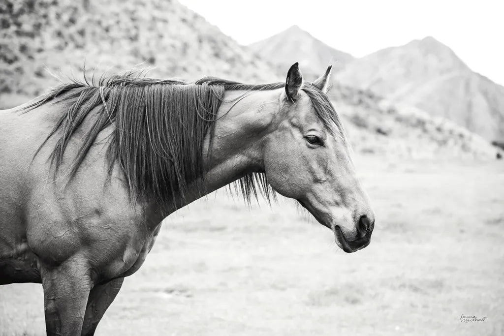 Moke Lake Horses III by Laura Marshall. SKU 84131i. Archival Giclee Fine art print for wall decor.