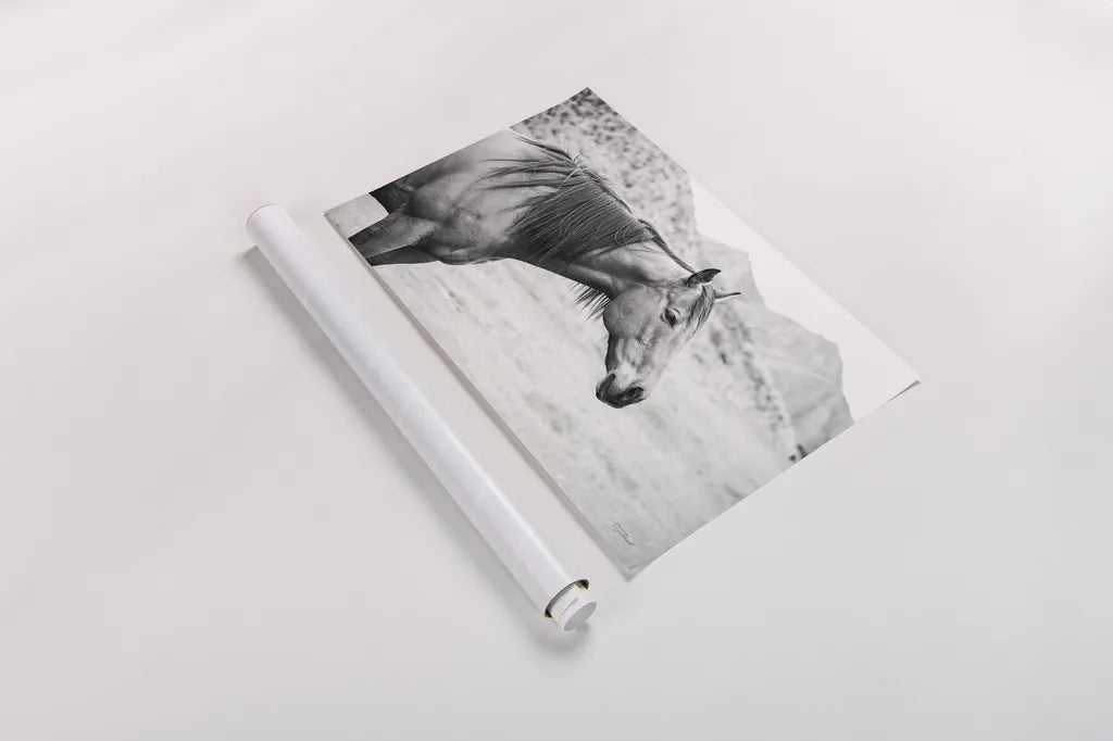 Moke Lake Horses III by Laura Marshall. shown as a rolled paper print. Available as archival giclee rolled canvas, fine art paper, or poster print. SKU 84131i.