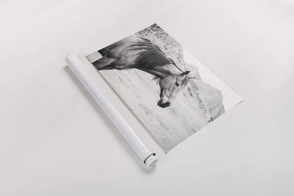 Moke Lake Horses III by Laura Marshall. shown as a rolled paper print. Available as archival giclee rolled canvas, fine art paper, or poster print. SKU 84131i.