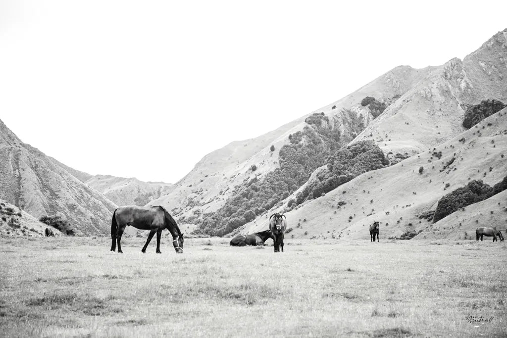 Moke Lake Horses IV by Laura Marshall. SKU 84132i. Archival Giclee Fine art print for wall decor.
