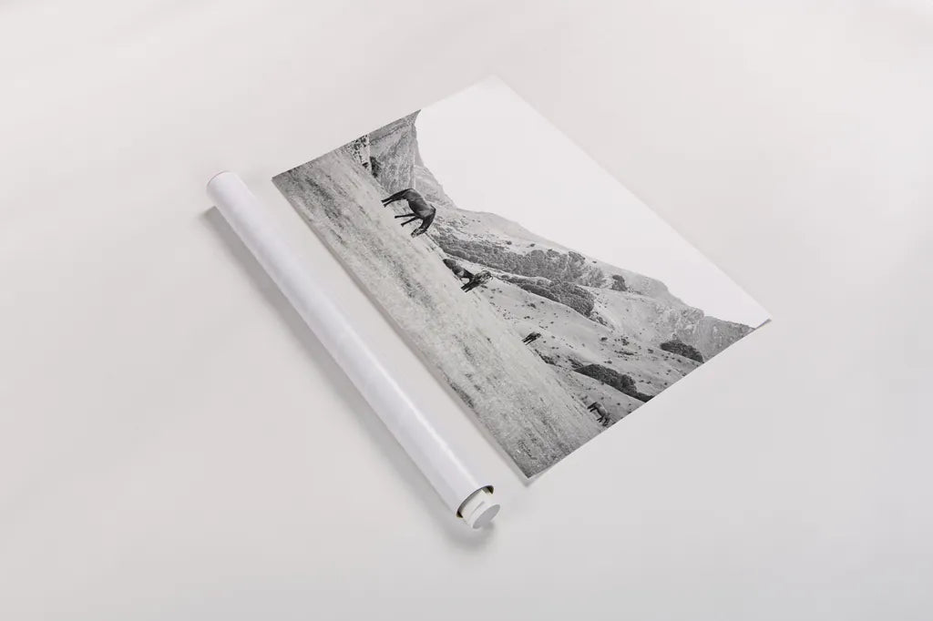 Moke Lake Horses IV by Laura Marshall. shown as a rolled paper print. Available as archival giclee rolled canvas, fine art paper, or poster print. SKU 84132i.