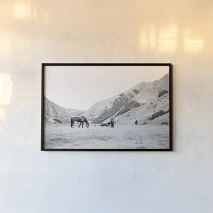 Moke Lake Horses IV by Laura Marshall. shown as a paper print in a black flame. Available as a archival giclee rolled canvas, fine art paper, or poster print. SKU 84132i.