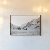 Moke Lake Horses IV by Laura Marshall. shown as a paper print in a white frame. Available as a archival giclee rolled canvas, fine art paper, or poster print. SKU 84132i.