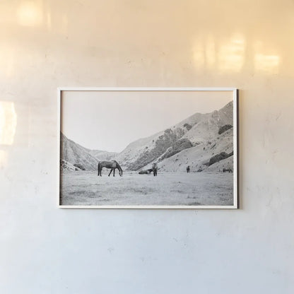 Moke Lake Horses IV by Laura Marshall. shown as a paper print in a white frame. Available as a archival giclee rolled canvas, fine art paper, or poster print. SKU 84132i.