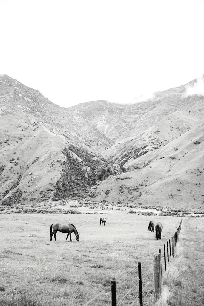 Moke Lake Horses V by Laura Marshall. SKU 84133h. Archival Giclee Fine art print for wall decor.