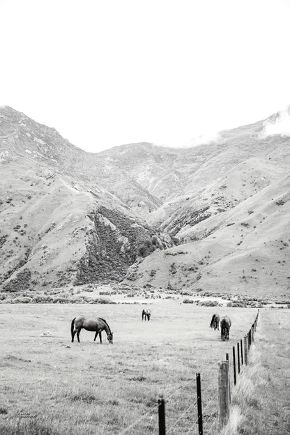 Moke Lake Horses V by Laura Marshall. SKU 84133h. Archival Giclee Fine art print for wall decor.