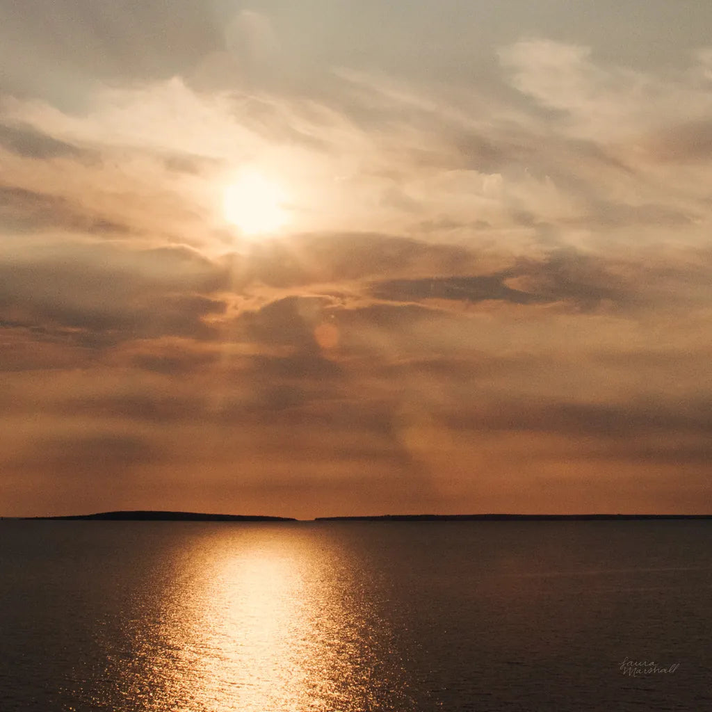 Morning Spotlight by Laura Marshall. SKU 16350a. Archival Giclee Fine art print for wall decor.