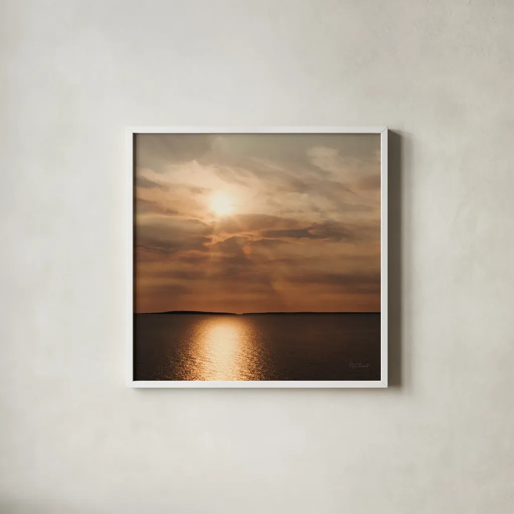 Morning Spotlight by Laura Marshall. Shown in a crisp white glass frame for a clean and minimalist style. Available as an archival giclee rolled canvas, fine art paper, or poster print. SKU 16350a.