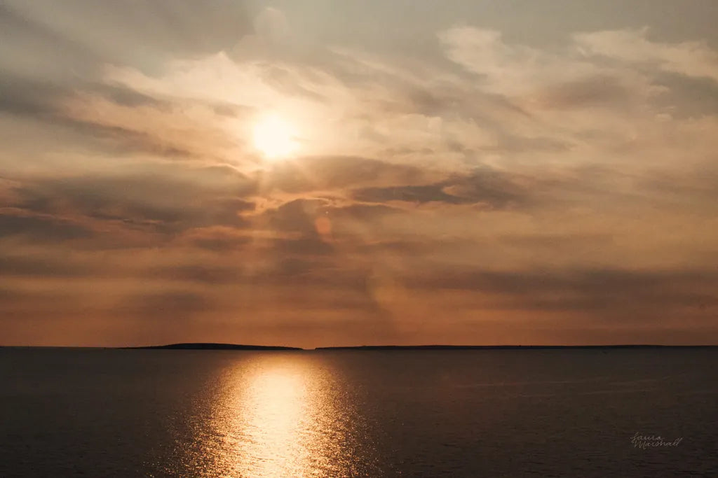 Morning Spotlight by Laura Marshall. SKU 16350i. Archival Giclee Fine art print for wall decor.