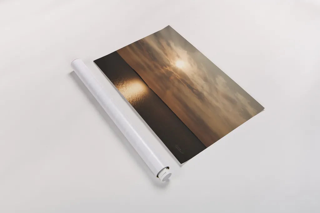 Morning Spotlight by Laura Marshall. shown as a rolled paper print. Available as archival giclee rolled canvas, fine art paper, or poster print. SKU 16350i.