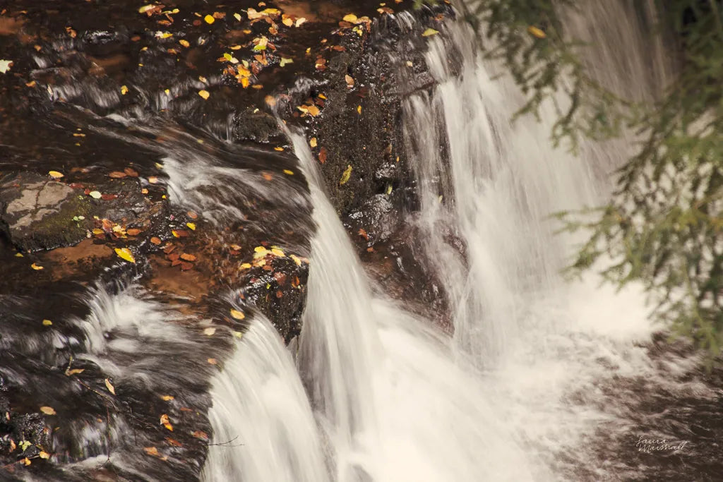Mosquito Falls I by Laura Marshall. SKU 21257i. Archival Giclee Fine art print for wall decor.