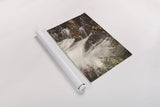 Mosquito Falls I by Laura Marshall. shown as a rolled paper print. Available as archival giclee rolled canvas, fine art paper, or poster print. SKU 21257i.