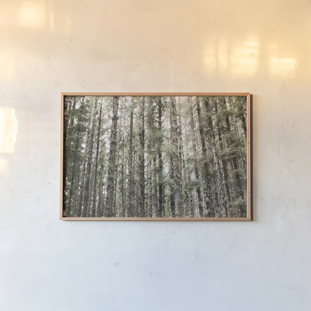 Mossy Pines by Laura Marshall. shown as a paper print in a natural frame. Available as a archival giclee rolled canvas, fine art paper, or poster print. SKU 53676i.